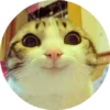 CatsBySmol 5