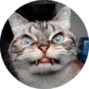 CatsBySmol 10