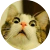 CatsBySmol 12