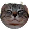 CatsBySmol 13