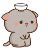Cutie Cat • @GreySunders 11