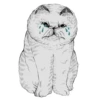 Emotional animals 6