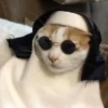 Cat Moods @TVstickers 8
