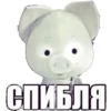 CarsHuyars 14