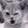 ₊ೆmood ‧₊˚ @harryhmb :: @fStikBot 7