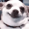 ₊ೆmood ‧₊˚ @harryhmb :: @fStikBot 8