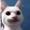 ₊ೆmood ‧₊˚ @harryhmb :: @fStikBot 9