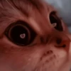 ₊ೆmood ‧₊˚ @harryhmb :: @fStikBot 10