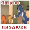 CarsHuyars 21