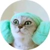 CatsBySmol 18