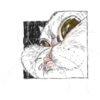 Emotional animals 19