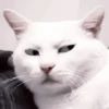 ₊ೆmood ‧₊˚ @harryhmb :: @fStikBot 11