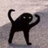 Cat Moods @TVstickers 24