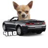 Cars 17