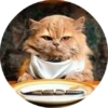 CatsBySmol 21