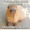 Создай стикеры в @new_stickerbot 17
