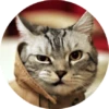CatsBySmol 22