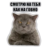 @chatkasha 11