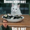 bratishkinoff 23