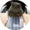 CatsBySmol 24