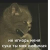 Создай стикеры в @new_stickerbot 22