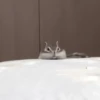 Chipmunks fr @soni1help :: @fStikBot 14
