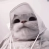 ₊ೆmood ‧₊˚ @harryhmb :: @fStikBot 13