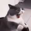 ₊ೆmood ‧₊˚ @harryhmb :: @fStikBot 14