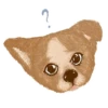 Emotional animals 25