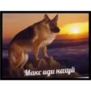 CarsHuyars 27