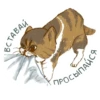 Emotional animals 26