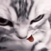 ₊ೆmood ‧₊˚ @harryhmb :: @fStikBot 15
