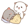 Cutie Cat • @GreySunders 24
