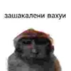 Создай стикеры в @new_stickerbot 29