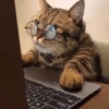 Cat Moods @TVstickers 29