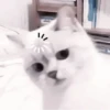 ₊ೆmood ‧₊˚ @harryhmb :: @fStikBot 17