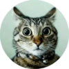 CatsBySmol 30