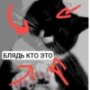 БЛЯДЬ КТО ЭТО И СЕМЬЯ ЮНИКО @holiwix 2