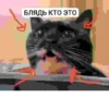БЛЯДЬ КТО ЭТО И СЕМЬЯ ЮНИКО @holiwix 3