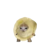 Стики 1735 из @Anonymnyi_chat_bot 5