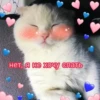Cute Cats @anime4_arts 6