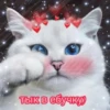 Cute Cats @anime4_arts 7