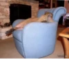 Capybara @MyselfMeandIo 10