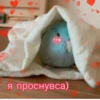 Cute Cats @anime4_arts 8
