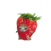 Стики 1735 из @Anonymnyi_chat_bot 8