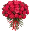 Flowers >> 10
