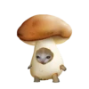 Стики 1735 из @Anonymnyi_chat_bot 10