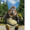 Capybara @MyselfMeandIo 16
