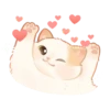 Cats <3 14