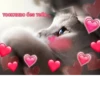 Cute Cats @anime4_arts 12